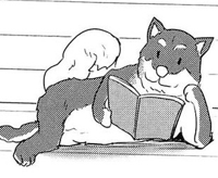 readingdog