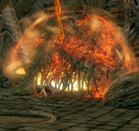 The Bed of Chaos