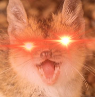 C28