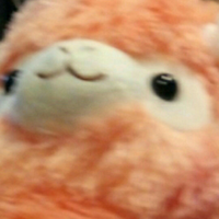 szbtszbt