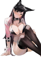 SKK HAREM LEADER