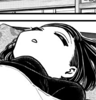 SchleepyCoomer
