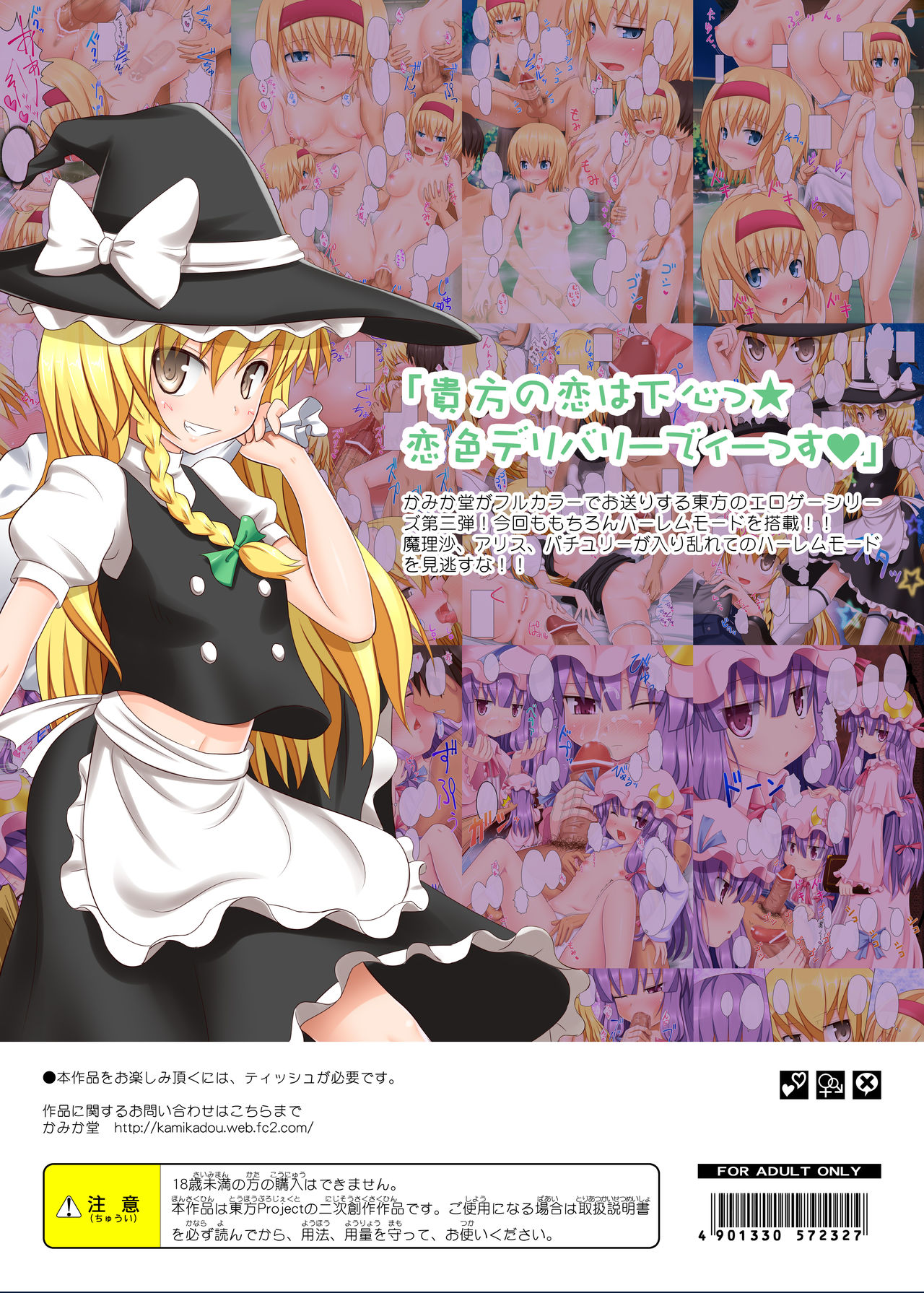 Touhou no Eroge 3 - Page 20