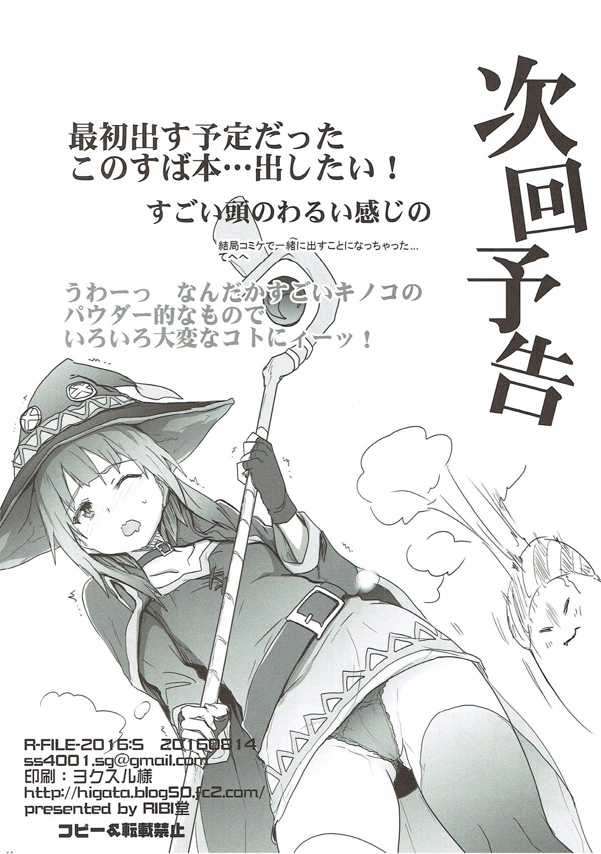R-FILE-2016:S - Page 13