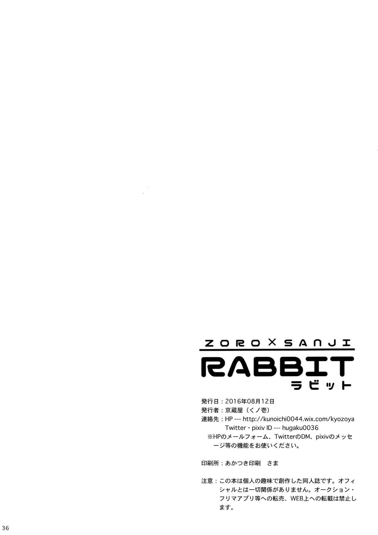 RABBIT - Page 37