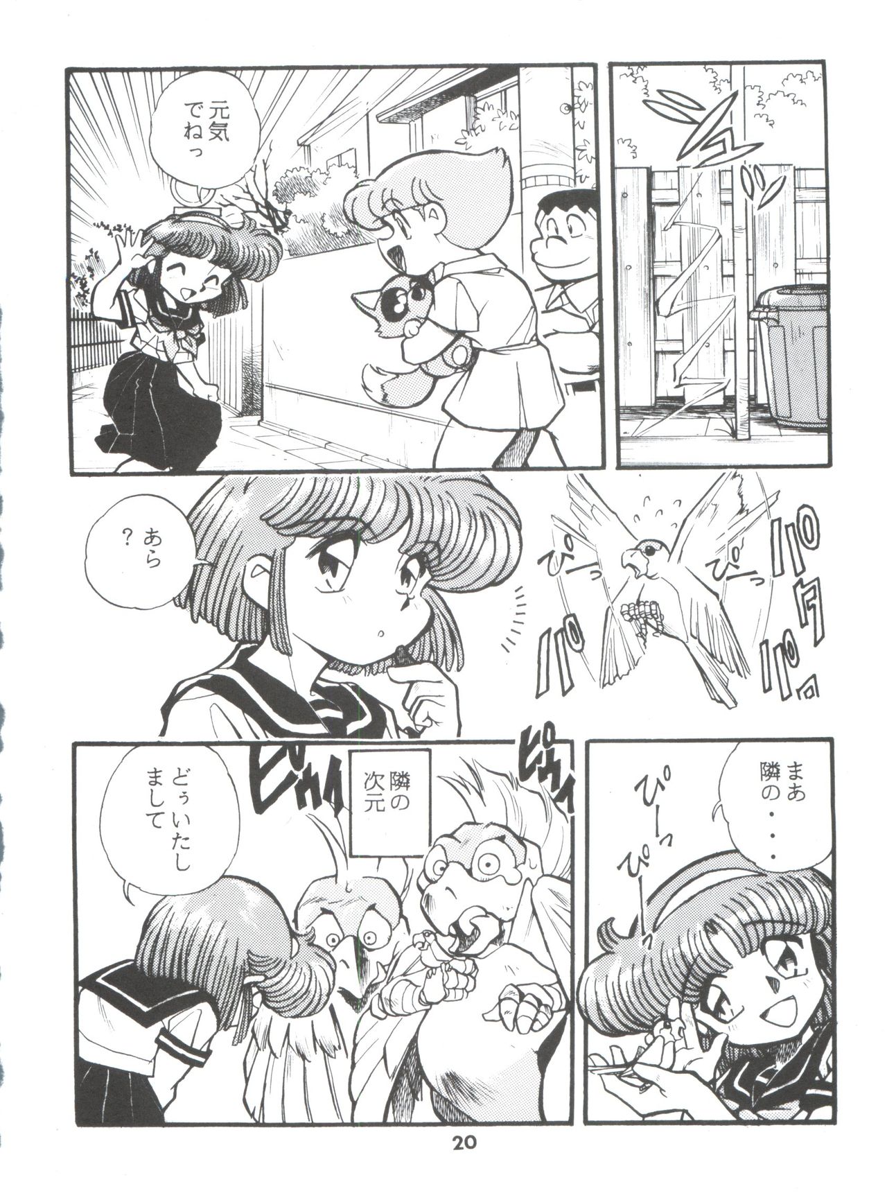 DK-1 III - Page 20