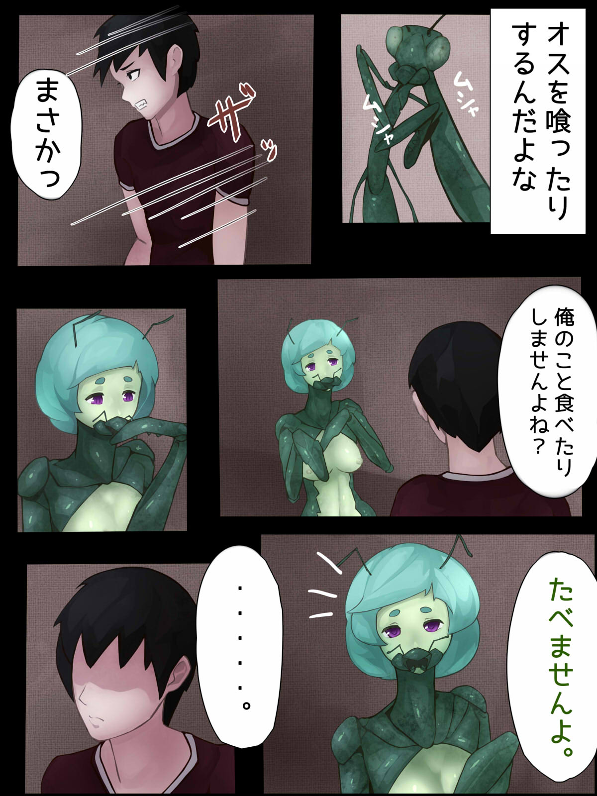 カマキリとせっくす ーヒト化ウイルス感染報告記録ー - Page 17