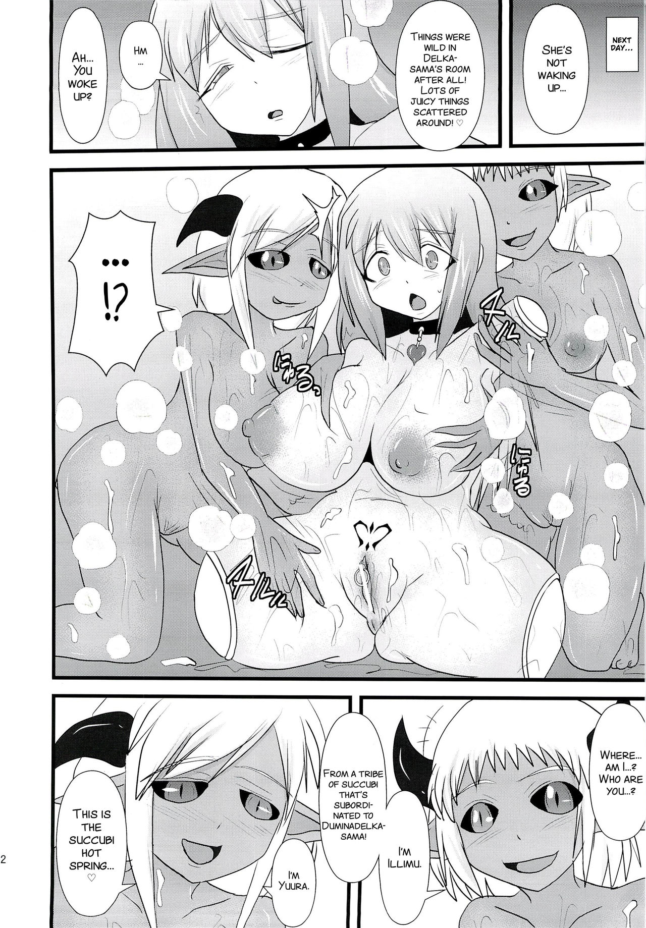 Shield Knight Elsain Vol. 14 "Succubus Ritual" - Page 12