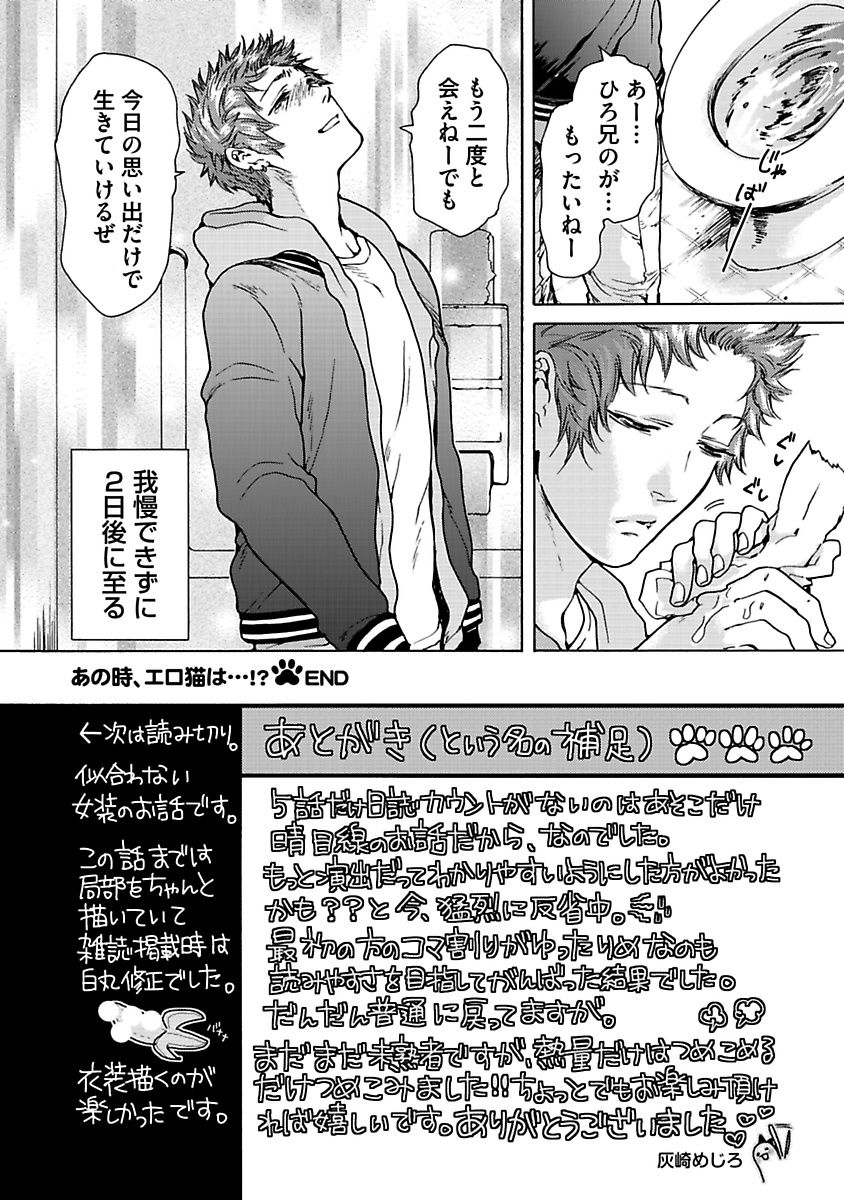 Ero Neko Kyouiku Nisshi - Page 162