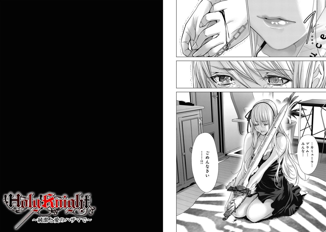 Holy Knight ~Junketsu to Ai no Hazama de~ Vol. 7 - Page 12