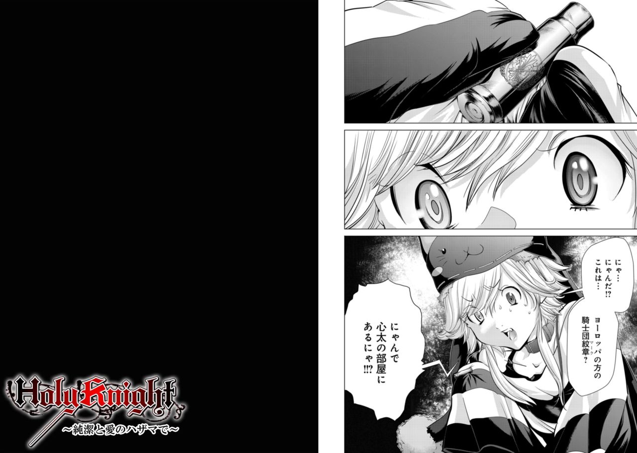 Holy Knight ~Junketsu to Ai no Hazama de~ Vol. 8 - Page 12