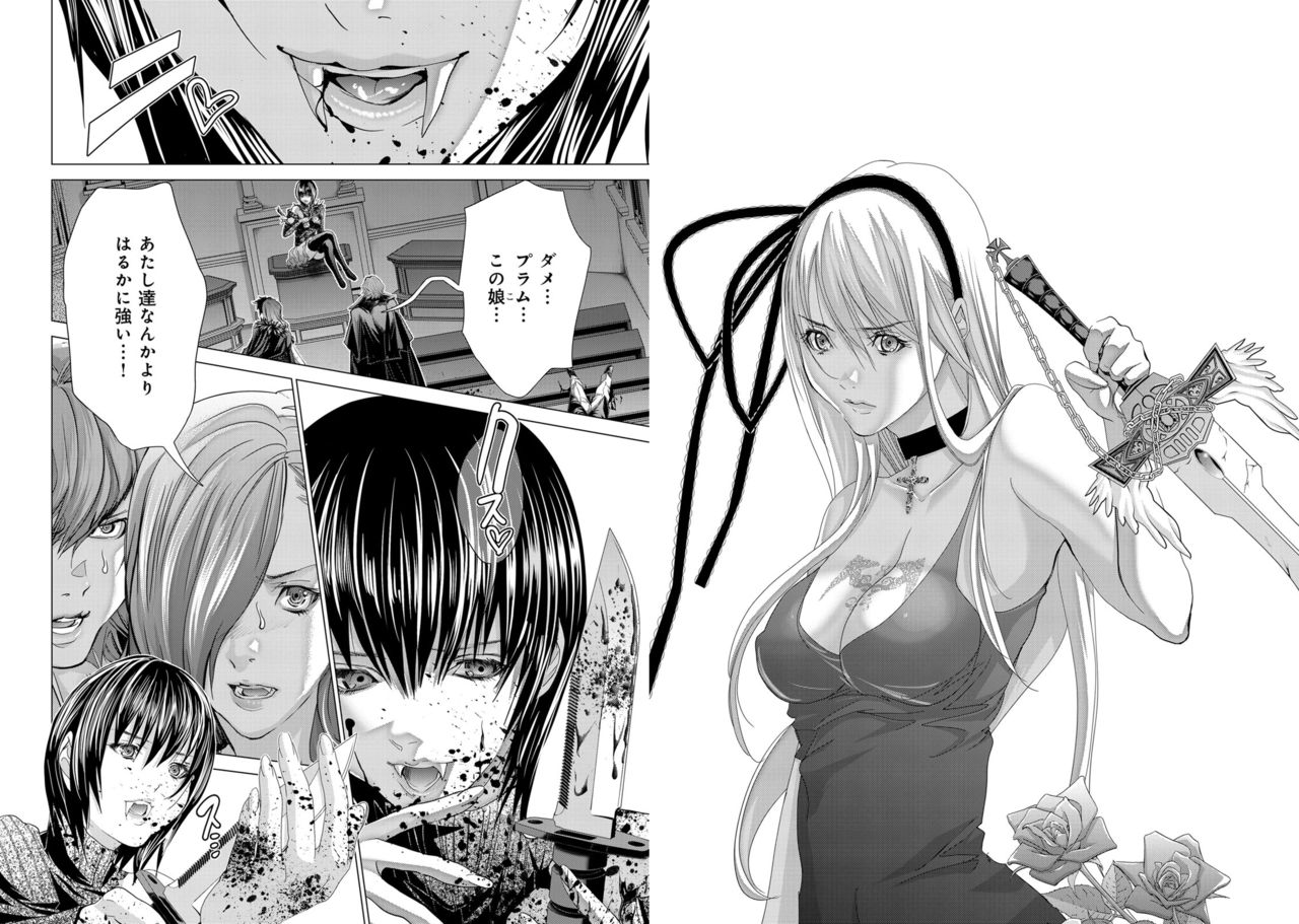 Holy Knight ~Junketsu to Ai no Hazama de~ Vol. 11 - Page 13