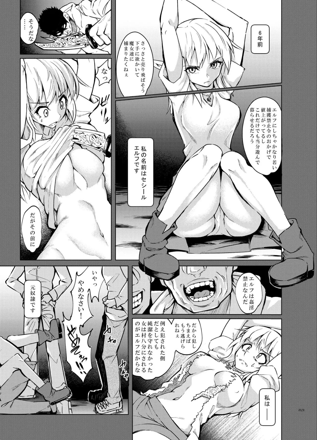 Toaru Elf o Hikitorimashite Soushuuhen - Page 29