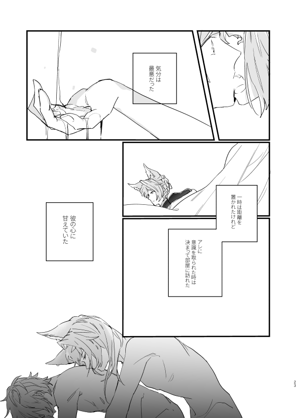 Ad Astra Insania - Page 21