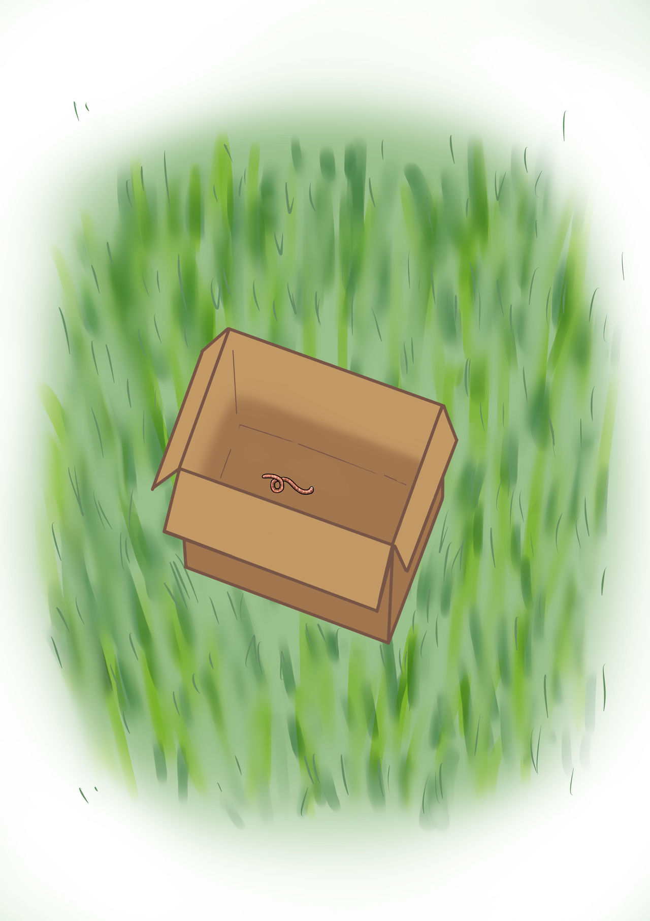 1000 Earthworms in the Box - Page 32