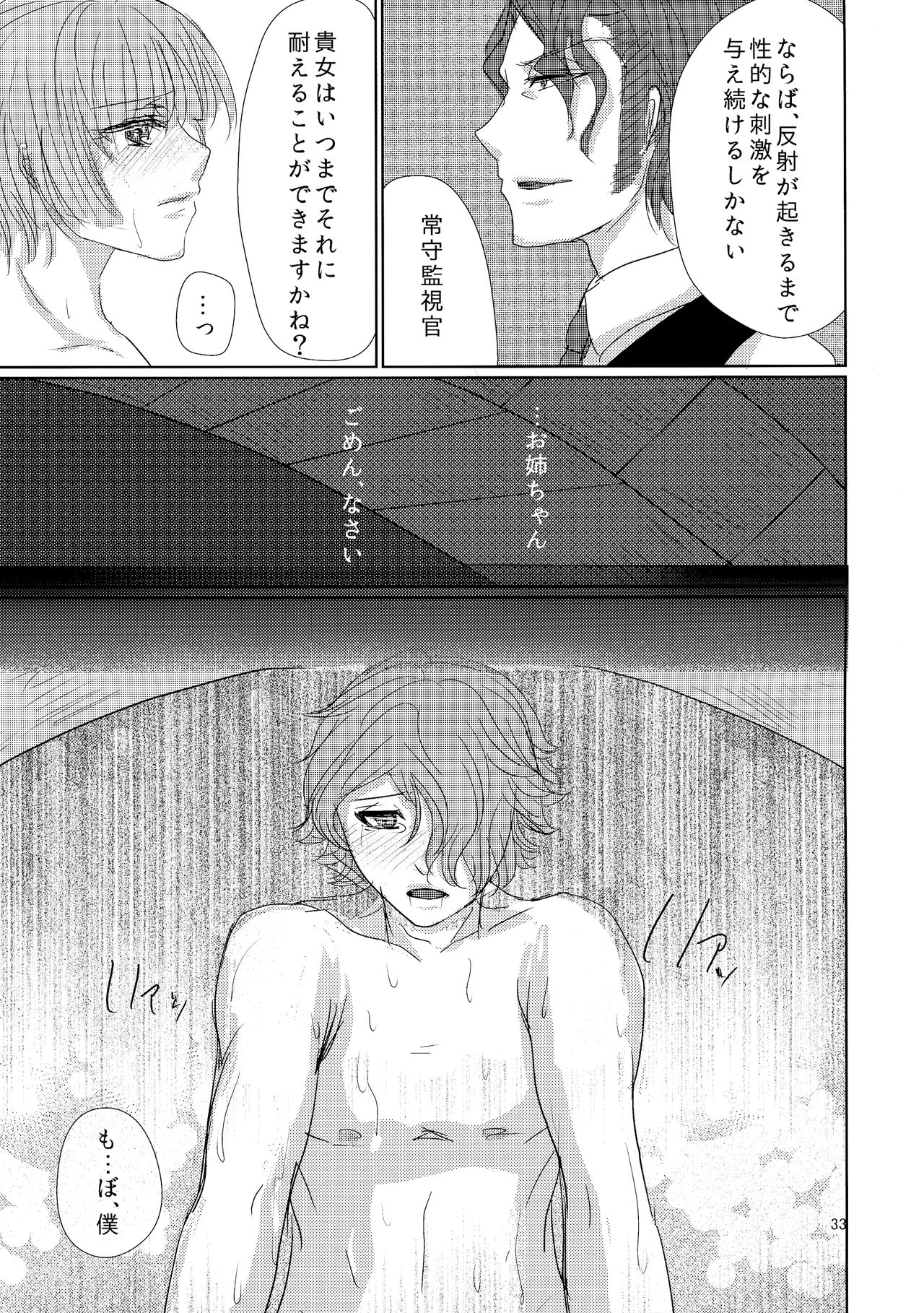 CSD - Page 33