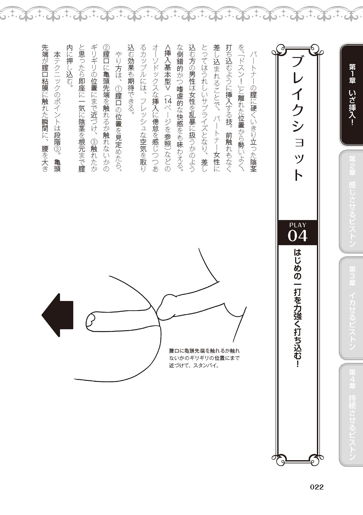 膣挿入＆ピストン運動完全マニュアル イラスト版……ピスとんッ！ - Page 24