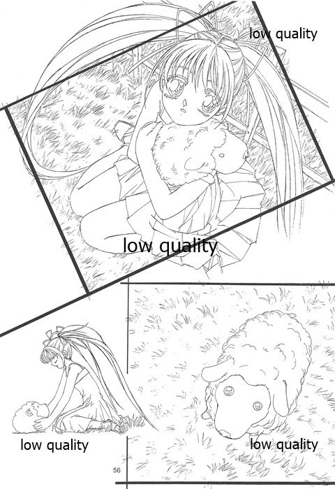 Flutter of birds 線画集 - Page 55