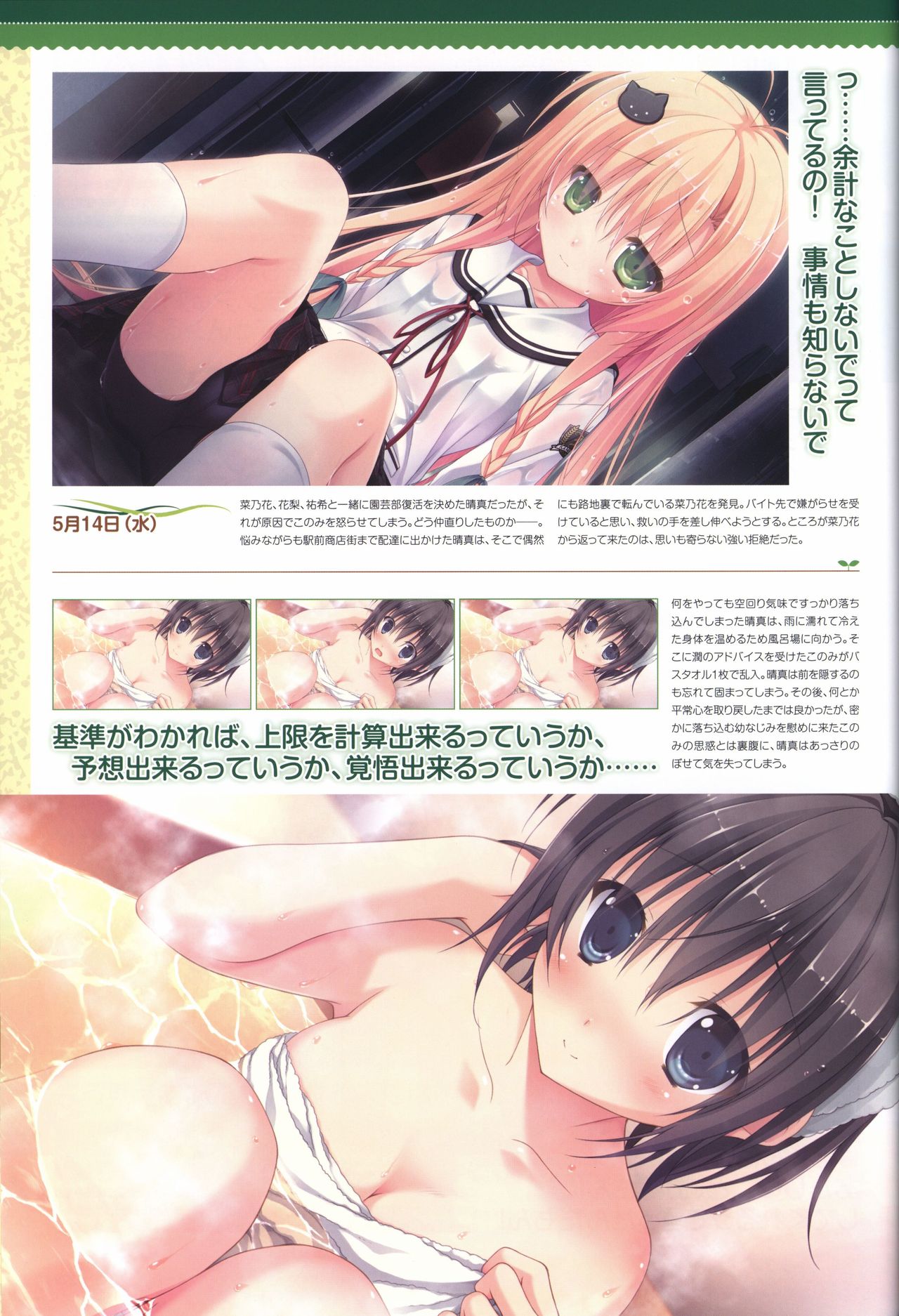 Hare Nochi Kitto Nanohana Biyori Visual Fanbook - Page 29