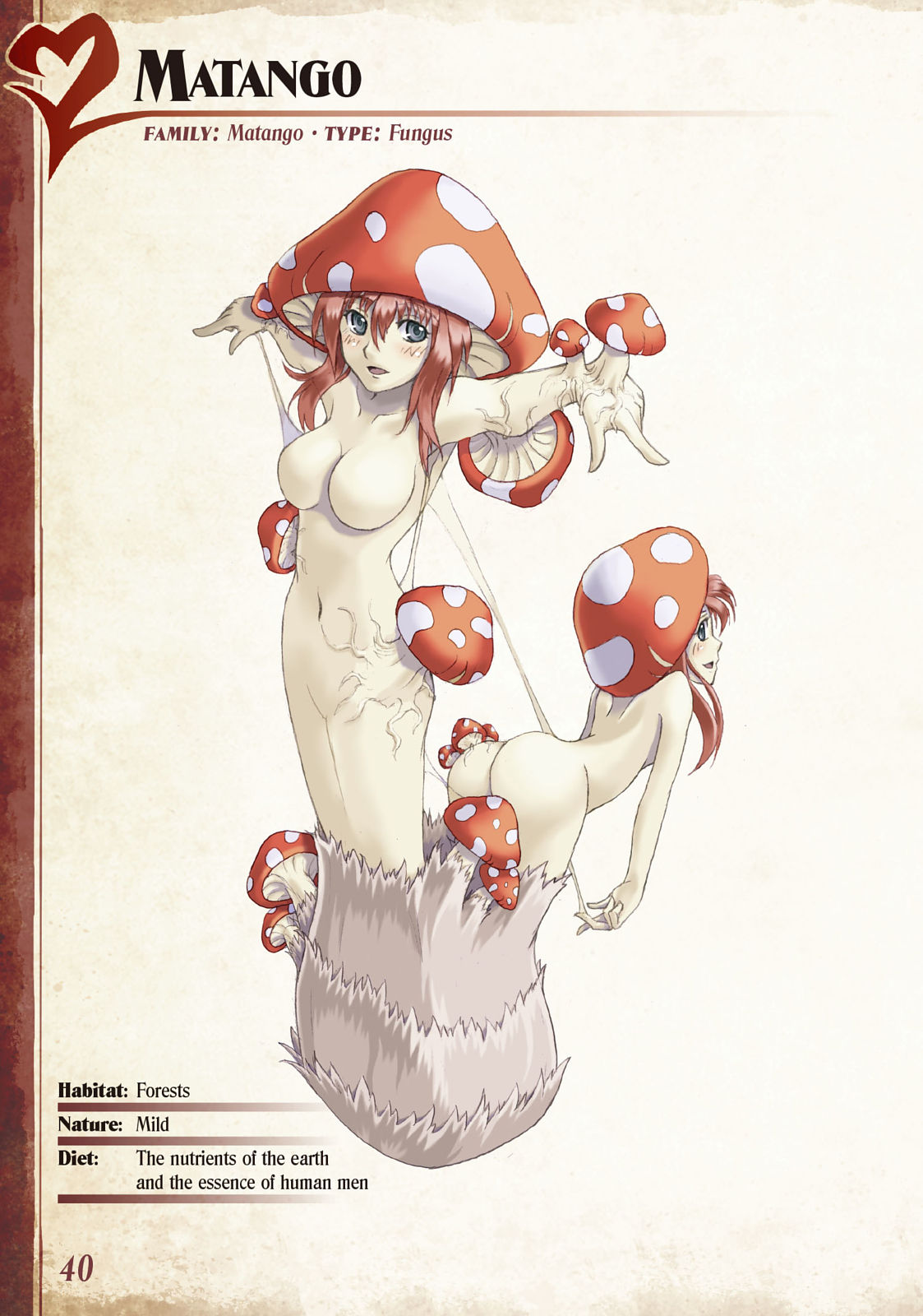 Monster Girl Encyclopedia Vol. 1 - Page 41