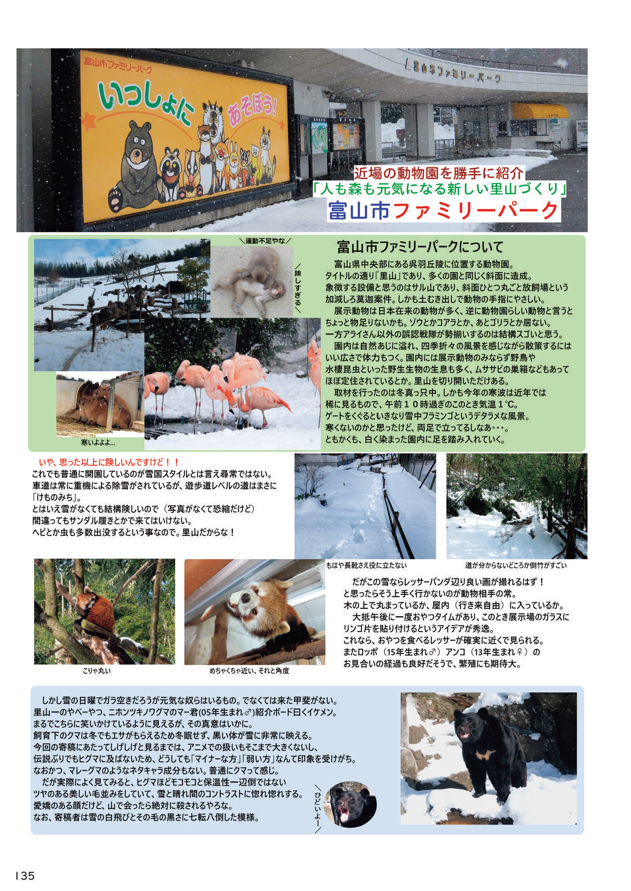 may Kemono Friends Thre Goudoushi - Page 137