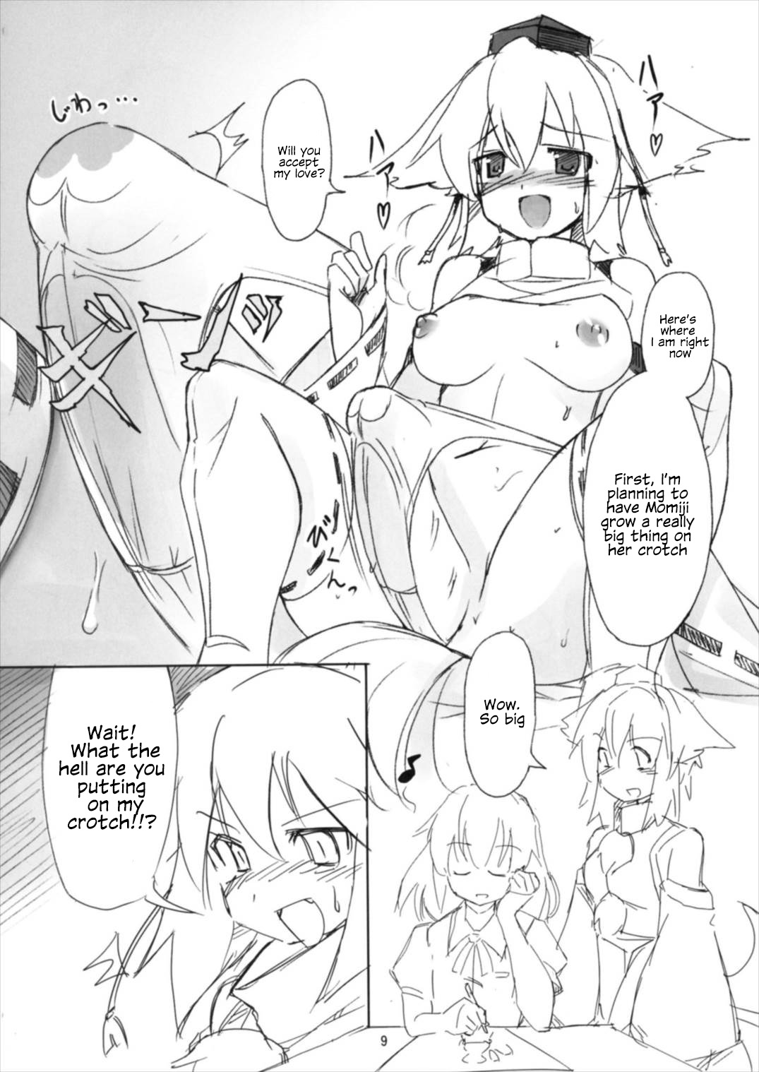 Shameimaru Kyouju no Hiritsuteki Aijou - Page 9