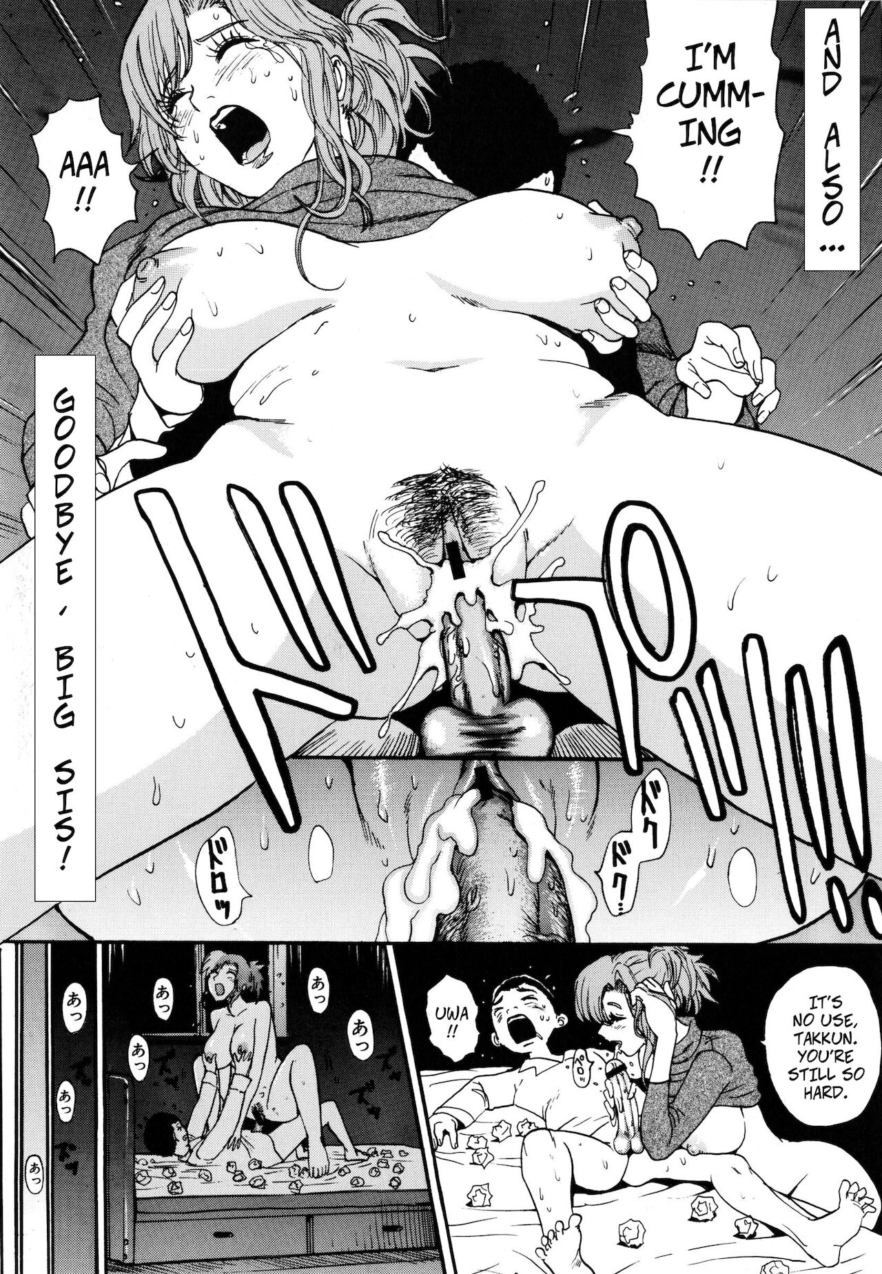 Sayonara Onee-chan | Goodbye Big Sis! - Page 17