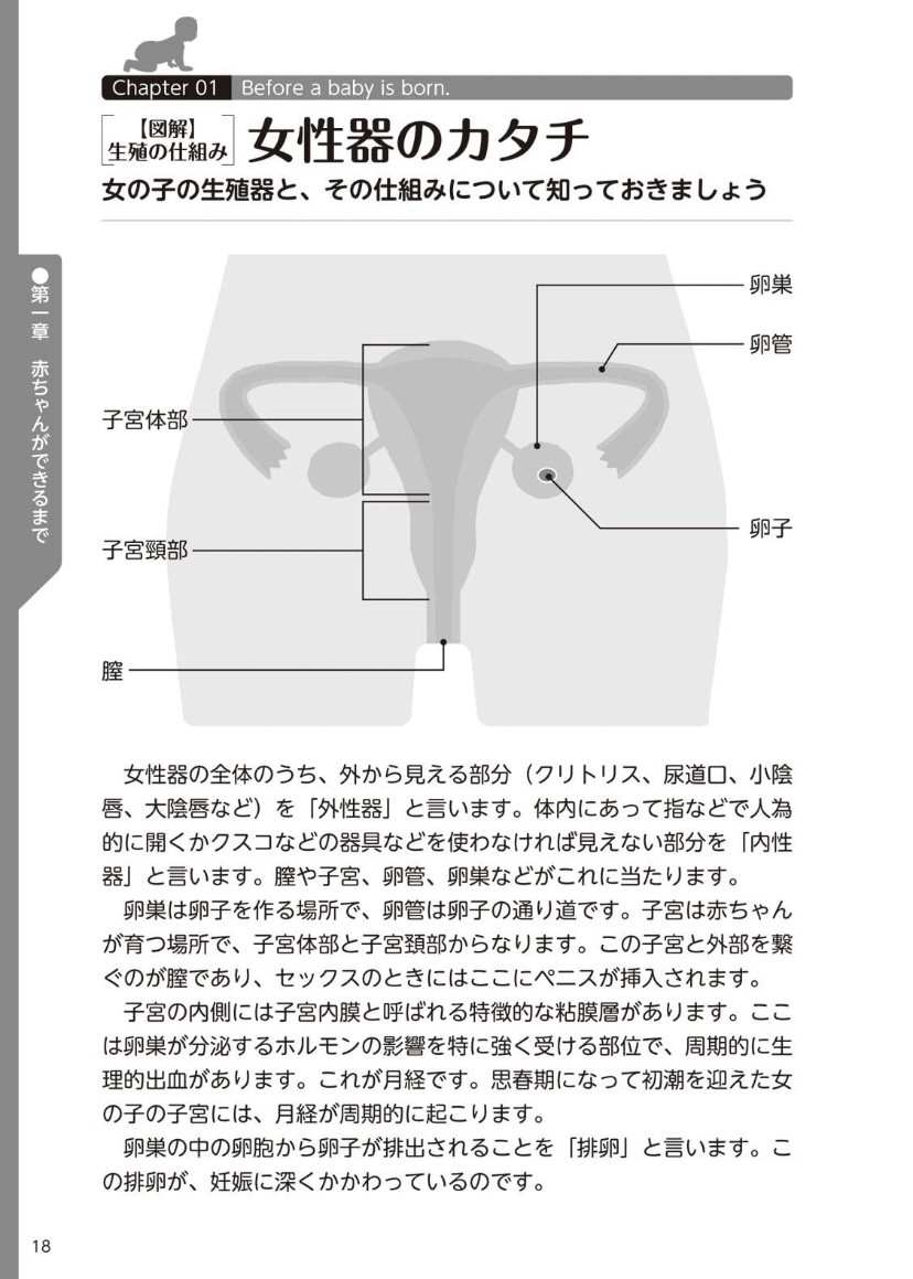 やらなくてもまんがで解る性交と妊娠 赤ちゃんのつくり方 - Page 19