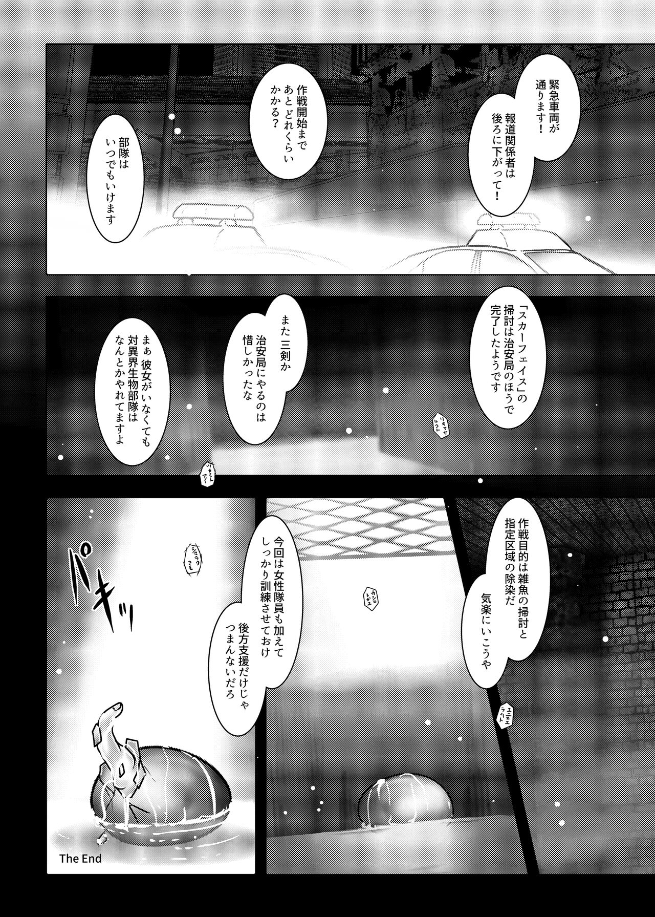 TRIAL PRODUCT - 環境治安局捜査官・三剣鏡 - Page 27