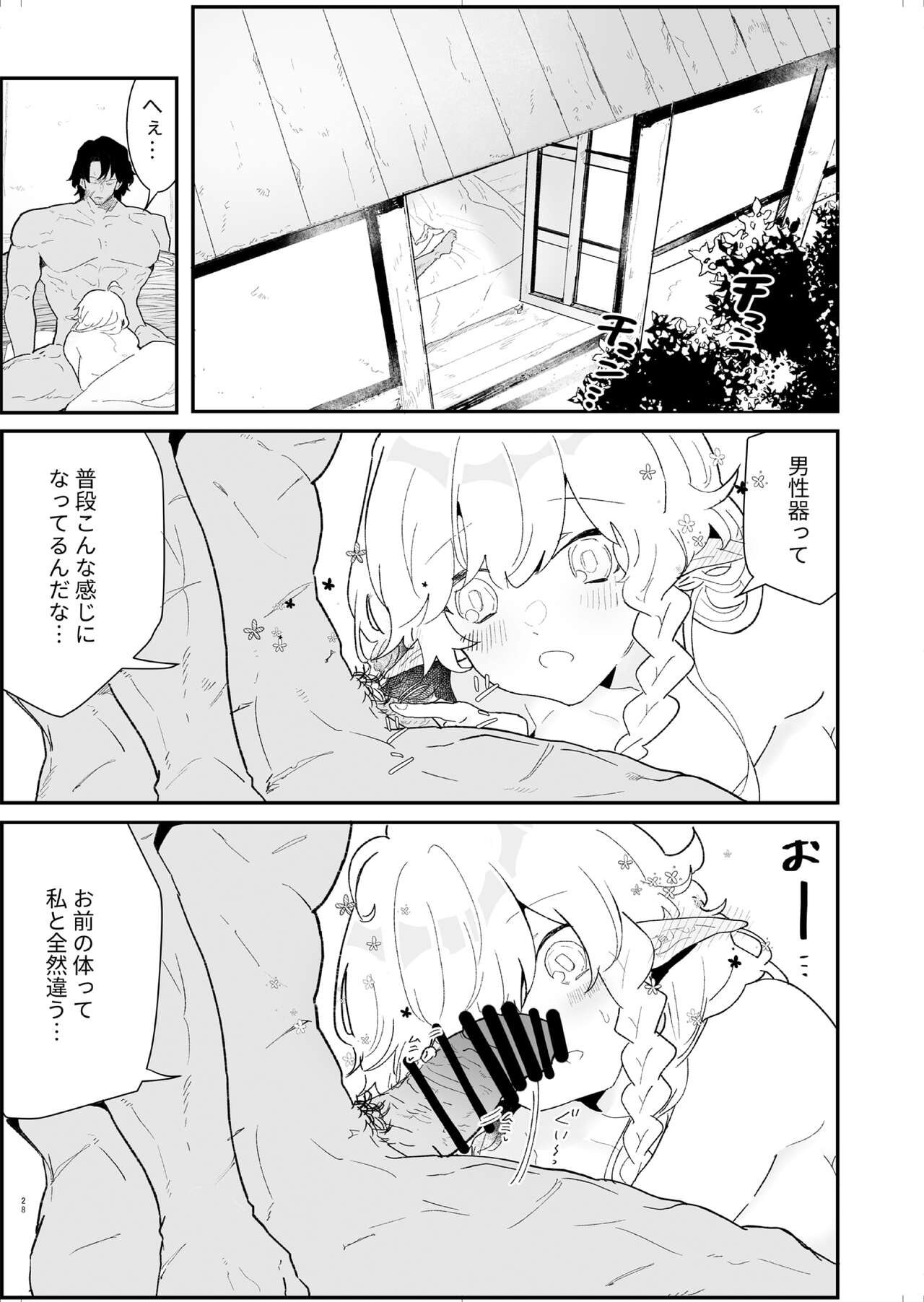 Tsumahajiki-mono no Somnia 4 - Page 28