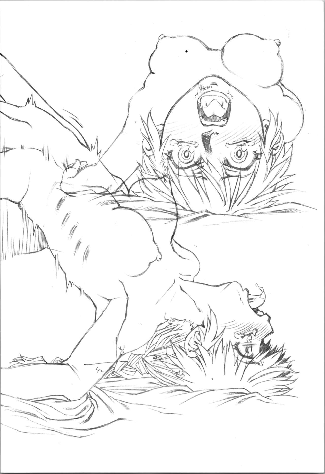 Saotome Ranma no Seitai Preview Ver2 - Page 21