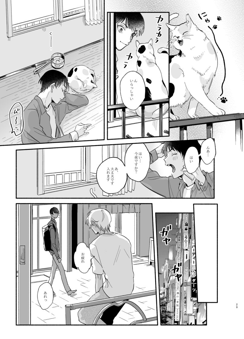 Wataridori no Takarabako - Page 28
