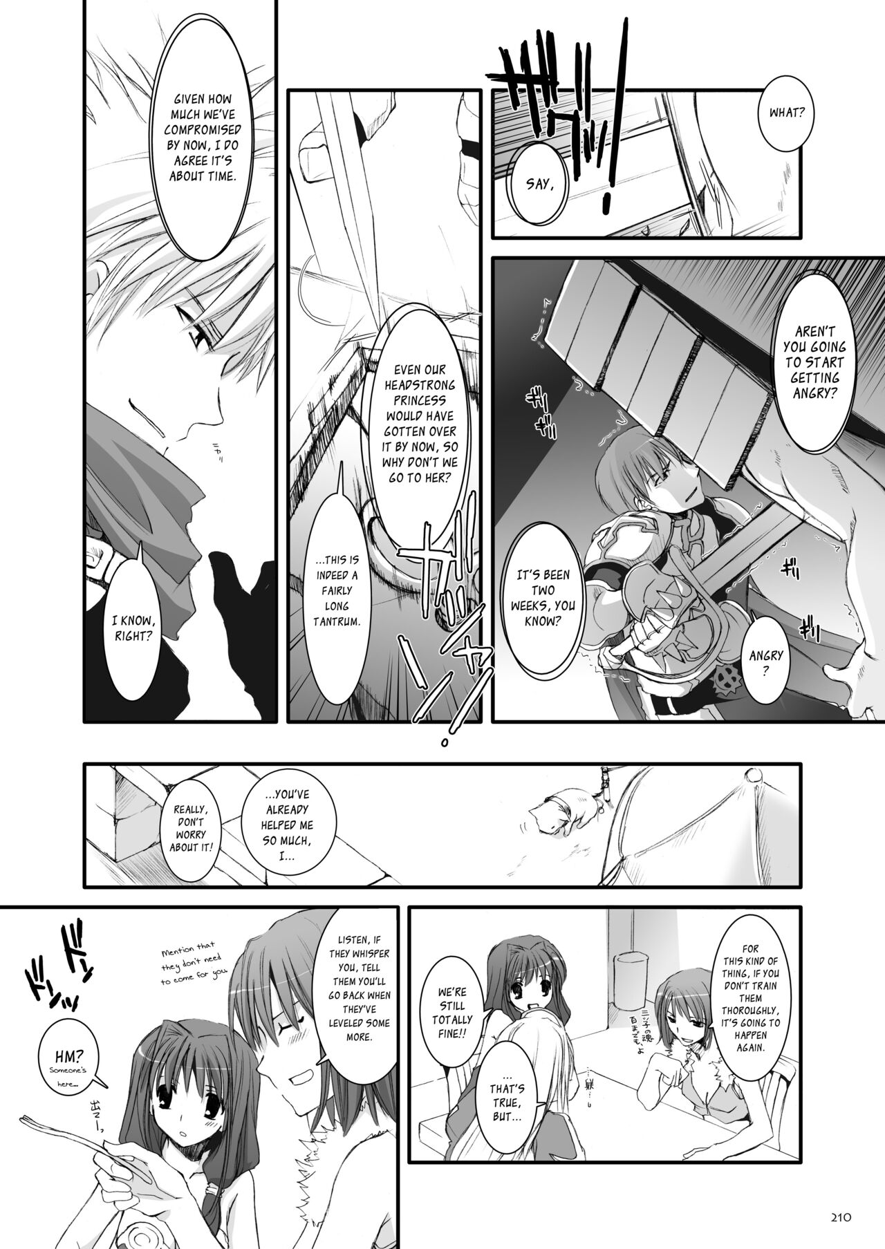 DL-RO Soushuuhen 04 - Page 211