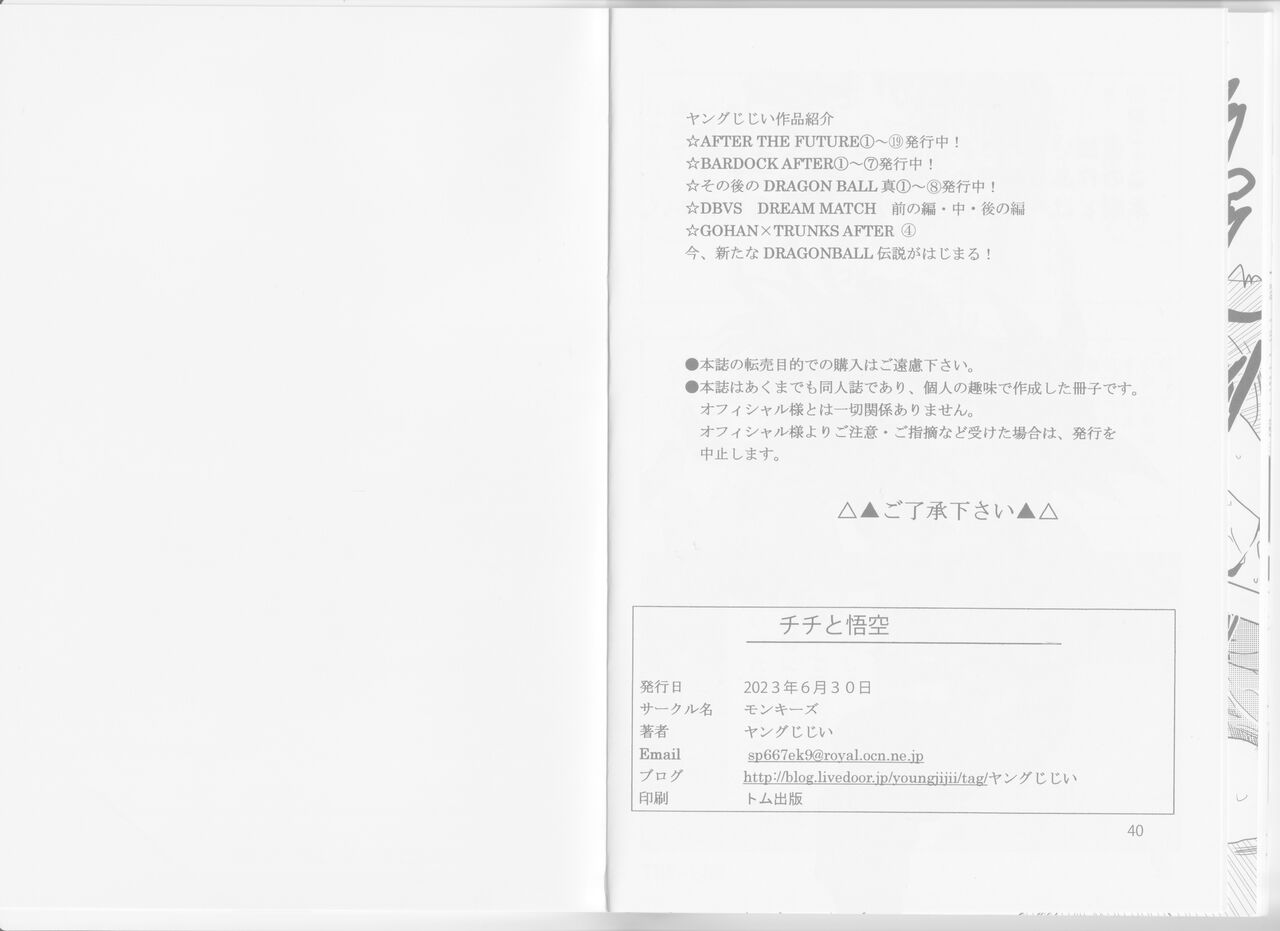 Chichi to Goku - Page 28