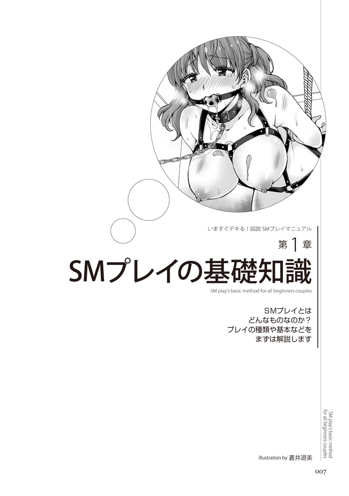 いますぐデキる 図説SMプレイマニュアル - Page 7