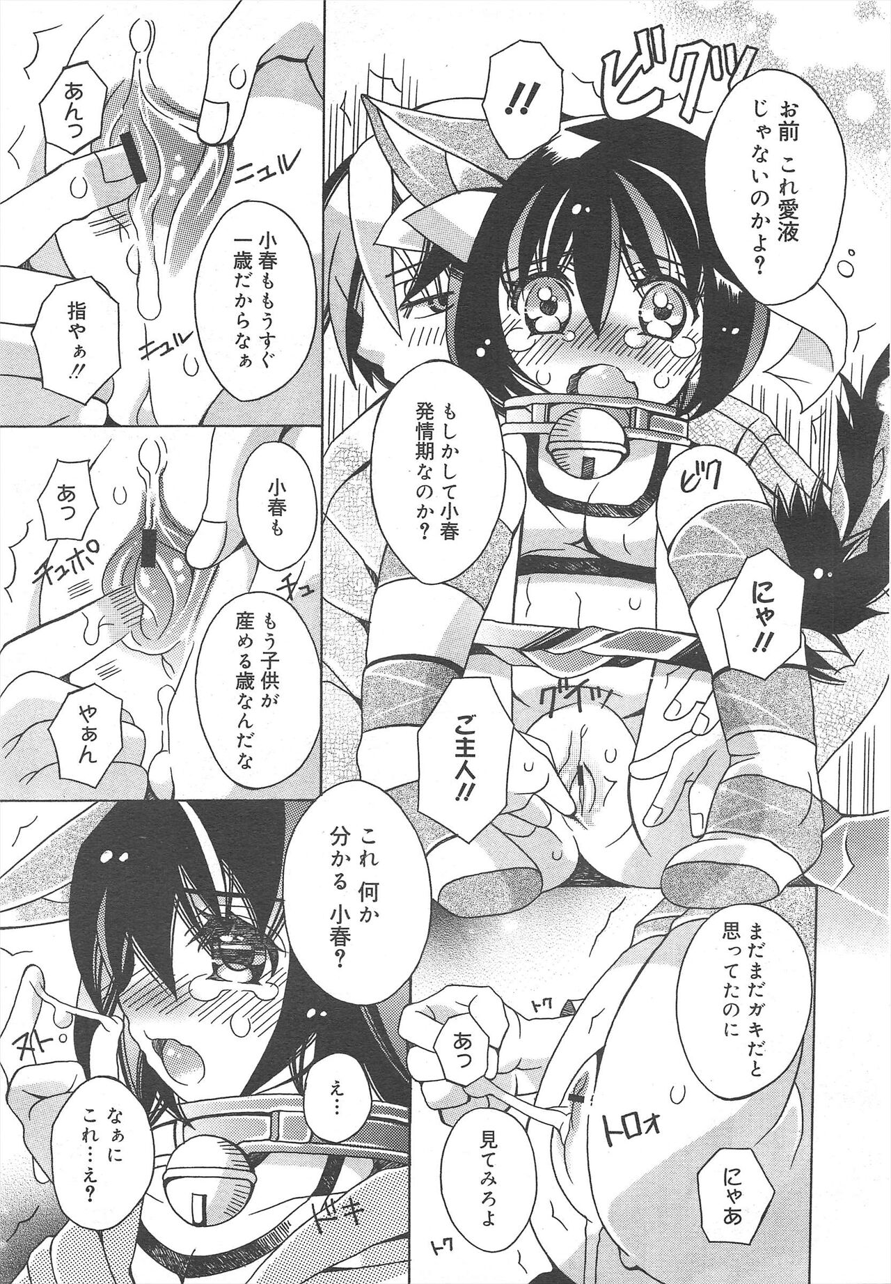 COMIC Megamilk 2012-04 Vol.22 - Page 263