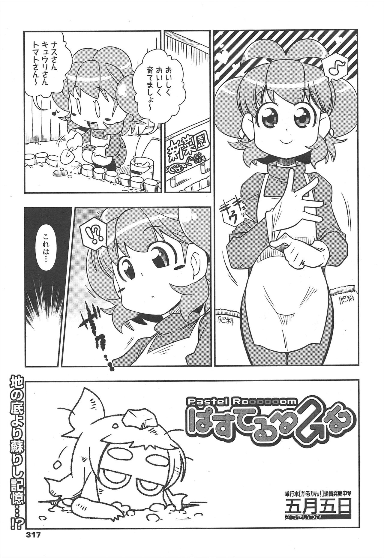 COMIC Megamilk 2012-07 Vol.25 - Page 317