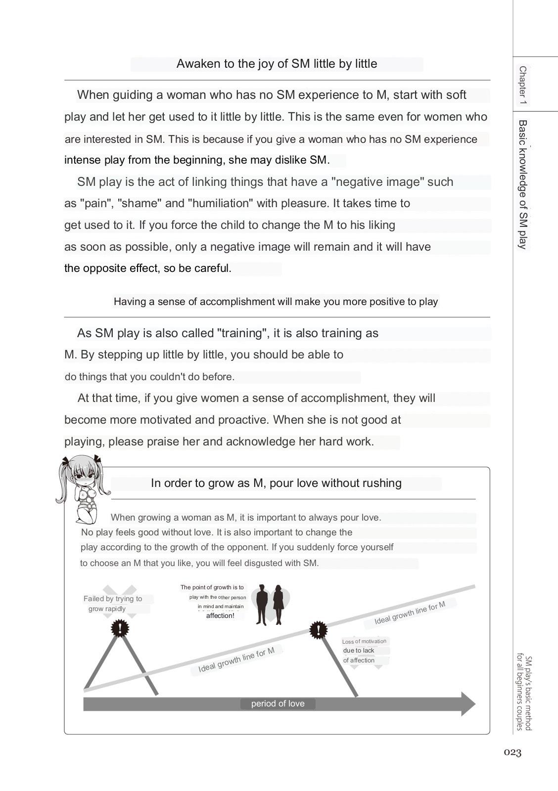 SM play manual - Page 21