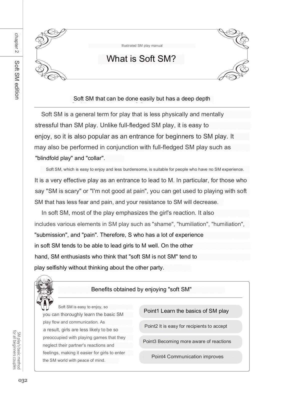 SM play manual - Page 30
