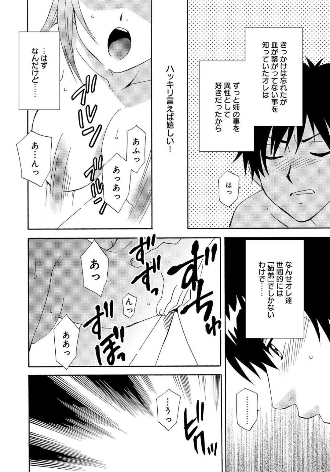 Ane no Nikumitsu - Page 24