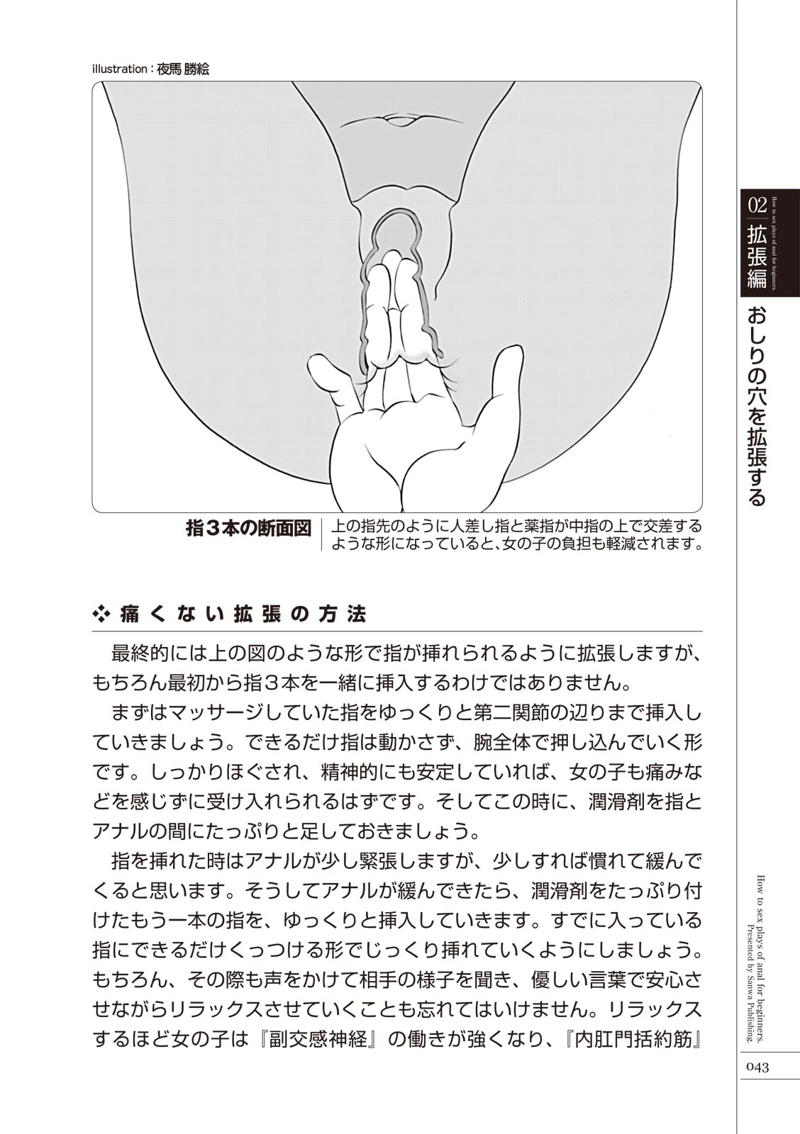 いますぐデキる 図説おしりエッチマニュアル - Page 45