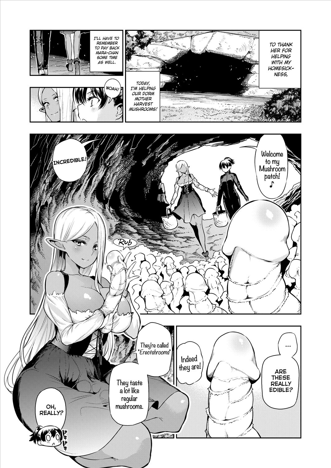 Futanari no Elf Descensored - Page 37