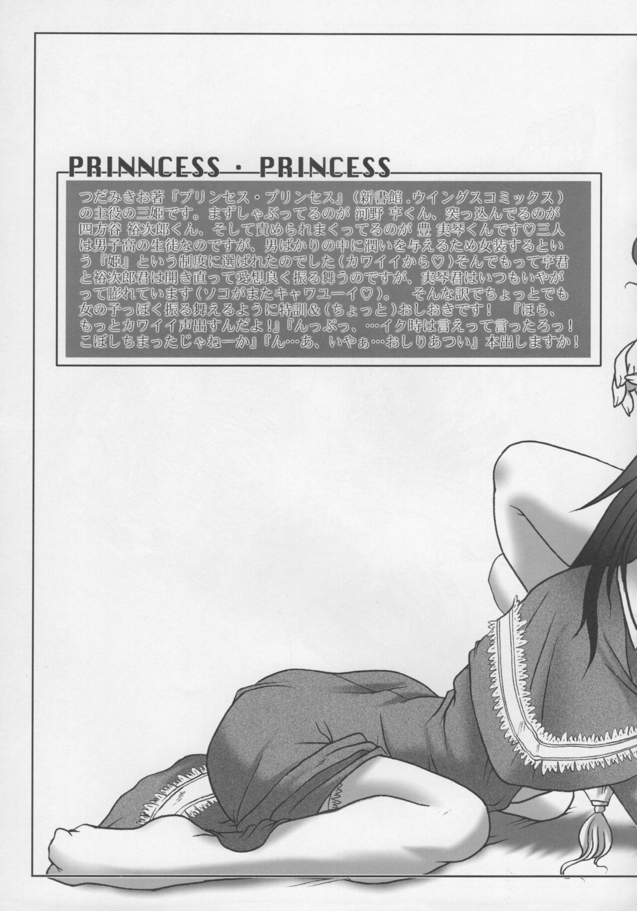 SHEMALELOVERS Vol.7 - Page 12