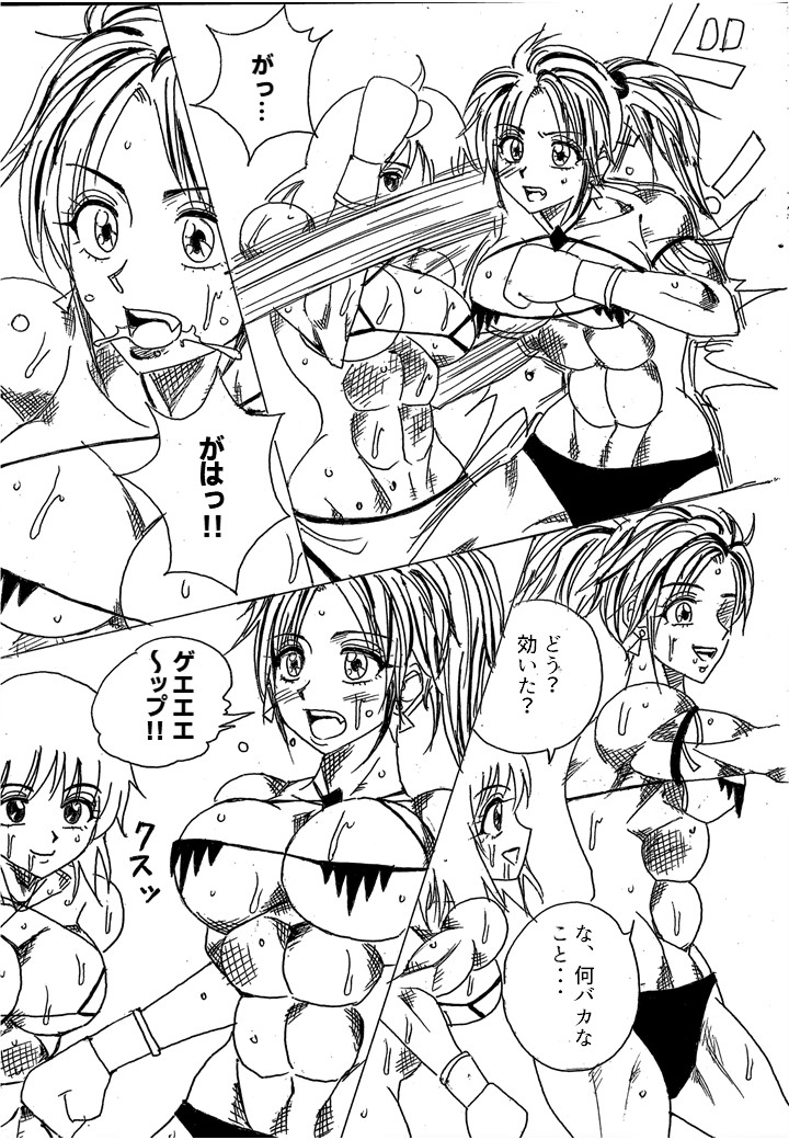 [Yama] Chousen-sha Kettei-sen Lamy VS Serafina - Page 17