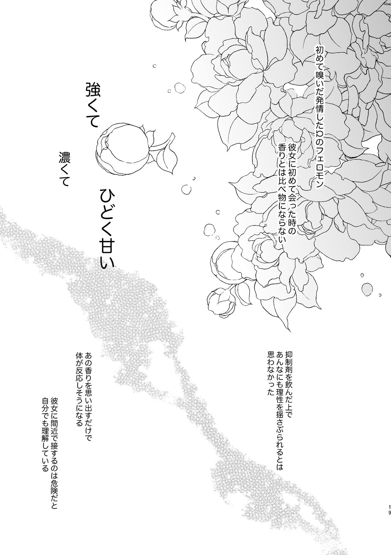 Usagi Reijou to Ookami Reisoku - Page 19