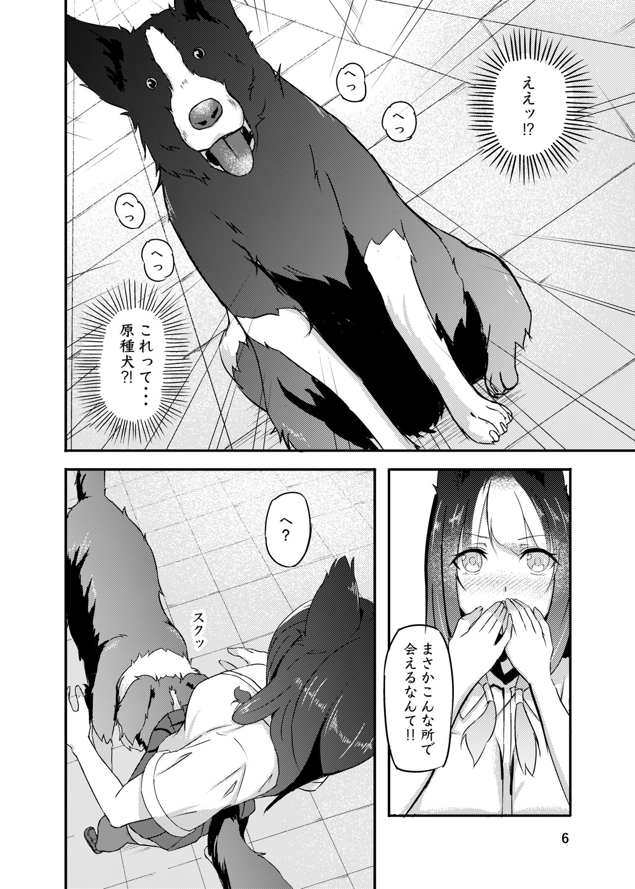 Preview page 6