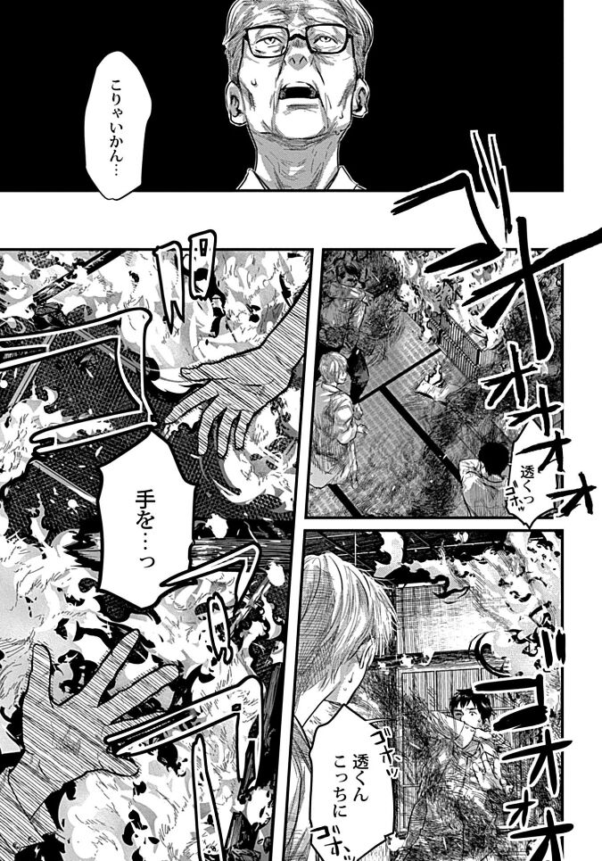 White flowers falling in clusters - Page 157
