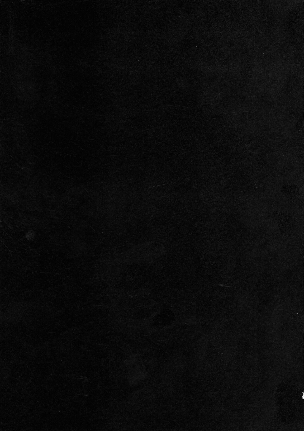 RISK Gauge Max - Page 12