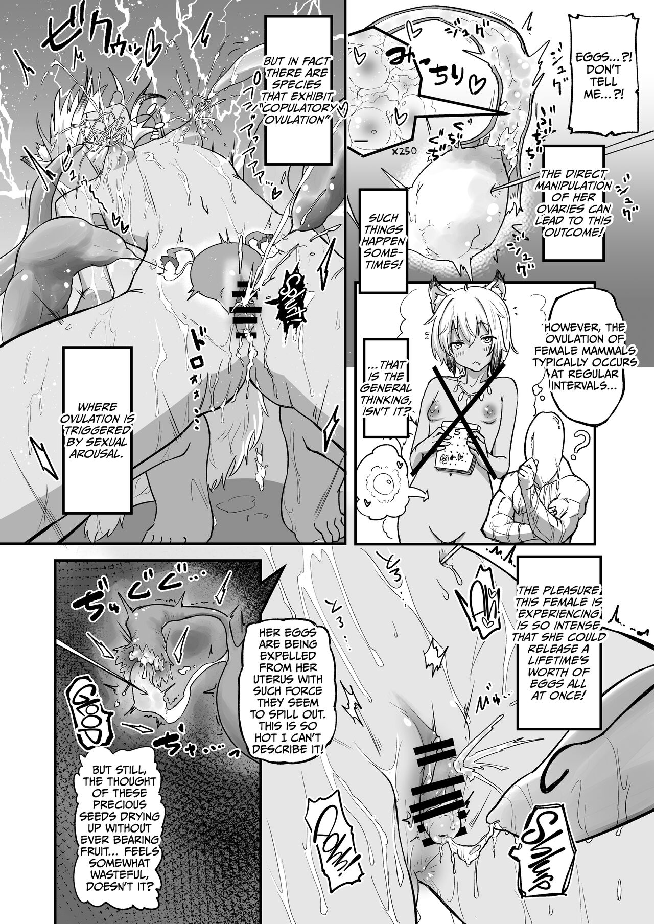 The Circle of Chippai Life! - Page 14