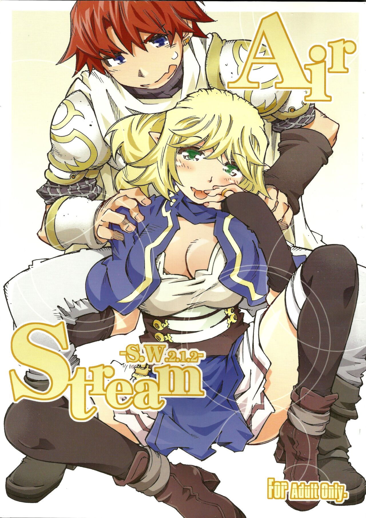 Air-Stream S.W 2.1.2 - Page 1